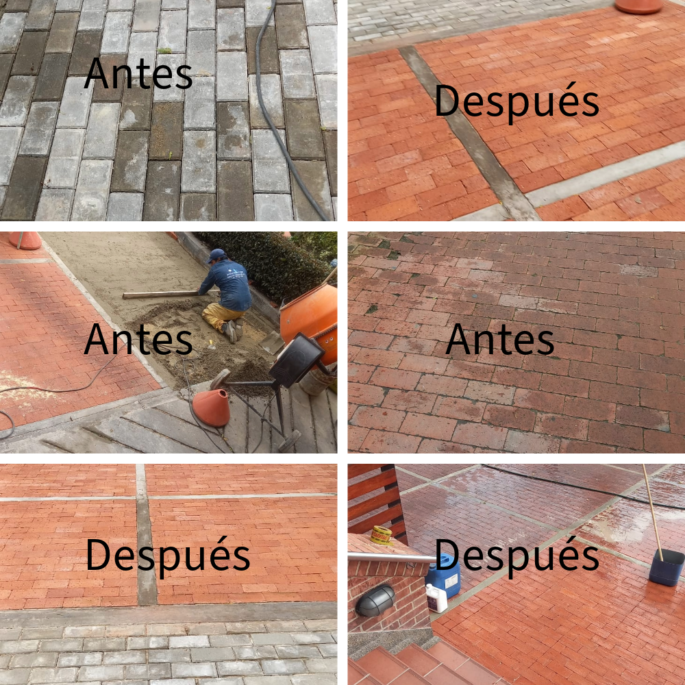 Proyecto Creador de collage-1